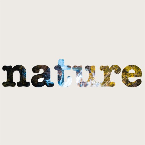 The Seashore ft. Pro Sounds of Nature & Nature Recordings | Boomplay Music