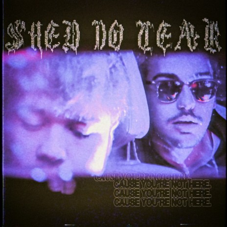 Shed No Tear | Boomplay Music