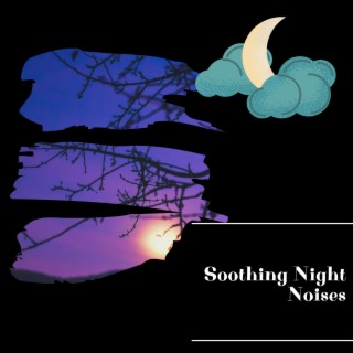 Soothing Night Noises