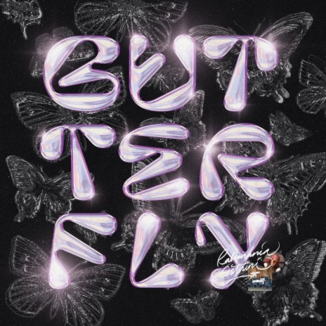 butterfly | Boomplay Music