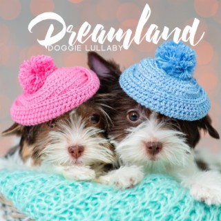 Dreamland Doggie Lullaby: Melodic Therapy for Canine Calmness, Sleep & Anxiety, Tranquil for Happy House Pets