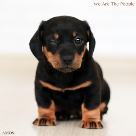 We Are The People | Boomplay Music