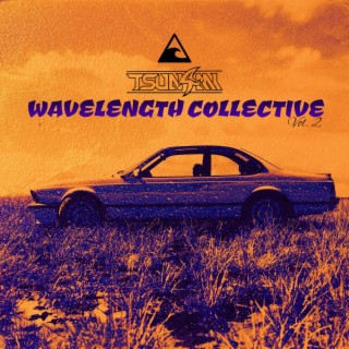 Wavelength Collective Vol. 2