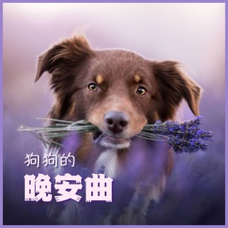 狗狗的晚安曲: 小狗必聽的催眠曲， 寵物貓和狗放鬆， 讓貓貓和狗狗安靜下來的催眠音樂