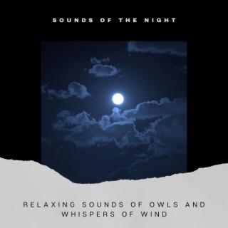 Relaxing Sounds of Owls and Whispers of Wind