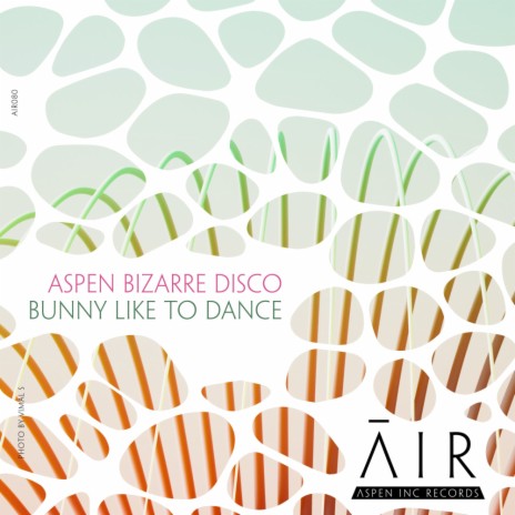 Bunny Like To Dance | Boomplay Music