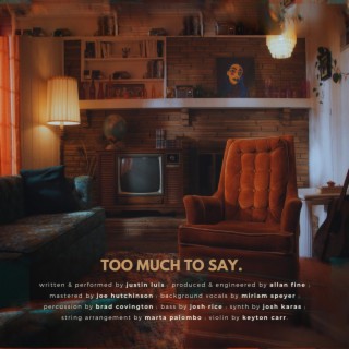 Too Much To Say | Boomplay Music