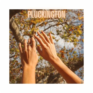 Pluckington
