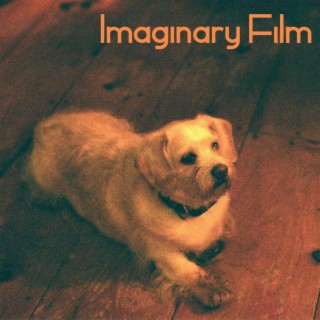 Imaginary Film