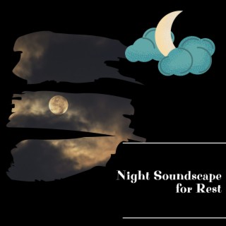 Night Soundscape for Rest