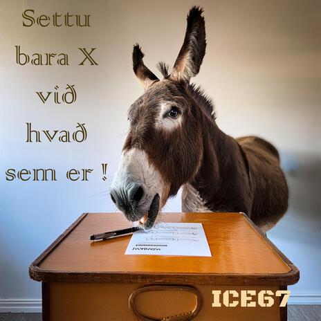 Settu bara X við hvað sem er (Radio Edit)