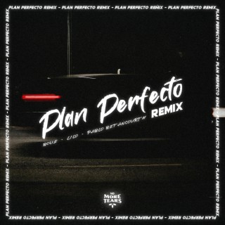 Plan Perfecto (Remix)