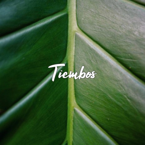 Tiembos ft. Ricardo Schneider