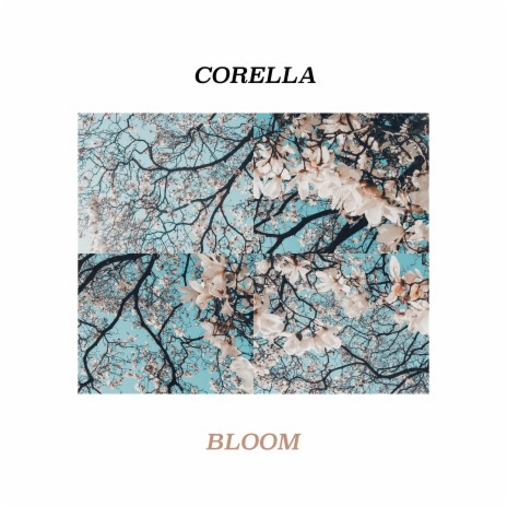 Bloom | Boomplay Music