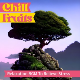 Relaxation BGM To Relieve Stress