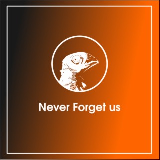 Never Forget Us