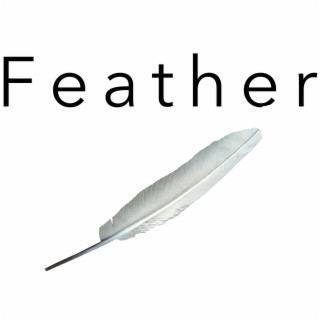 Feather