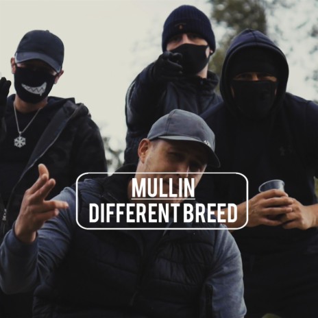 Different Breed | Boomplay Music