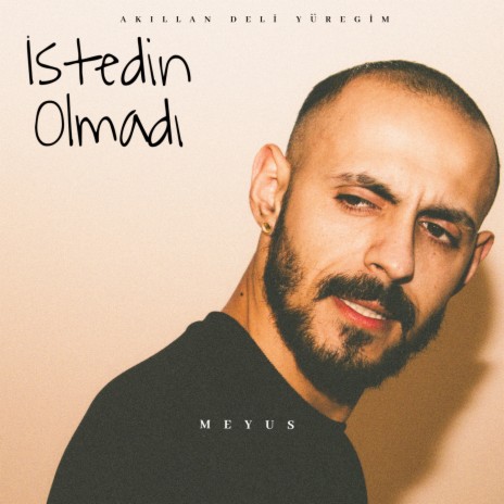 İstedin Olmadı | Boomplay Music