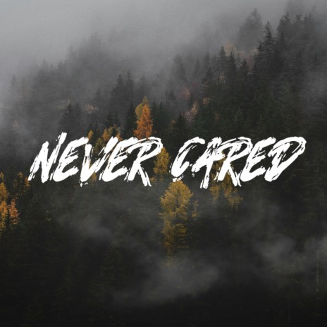 Never Cared | Boomplay Music