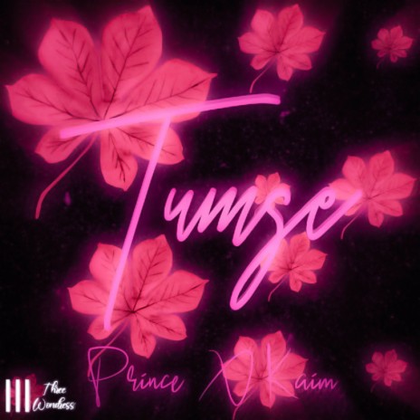 Tumse ft. Prince Music | Boomplay Music