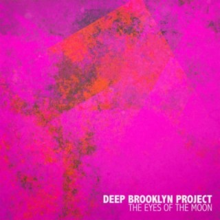 Deep Brooklyn Project