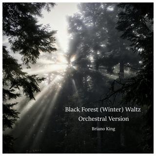 Black Forest (Winter) Waltz (Orchestral Version)