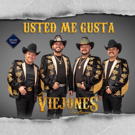 Usted Me Gusta | Boomplay Music