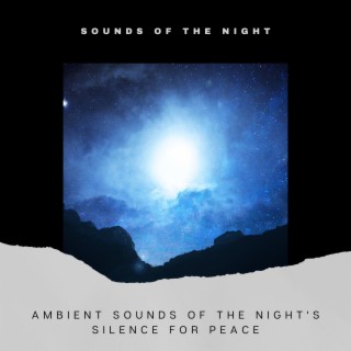 Ambient Sounds of the Night's Silence for Peace