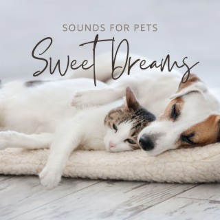 Sweet Dreams Sounds for Pets: Soft and Quiet Music for Anxious Pets