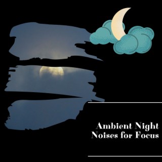 Ambient Night Noises for Focus