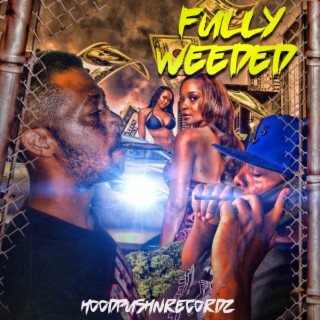 HOODPUSHNRECORDZ FULLY WEEDED