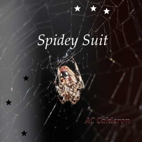Spidey Suit | Boomplay Music