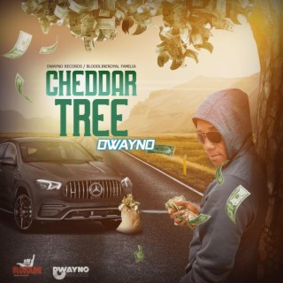 Cheddar tree lyrics | Boomplay Music