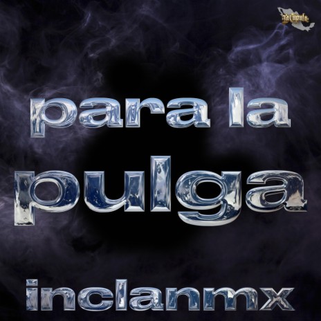 Para La Pulga | Boomplay Music