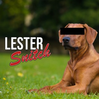 Lester The Ridge Back Snitch