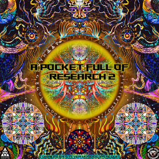 A Pocketful of research 2