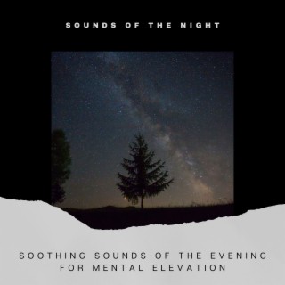 Soothing Sounds of the Evening for Mental Elevation