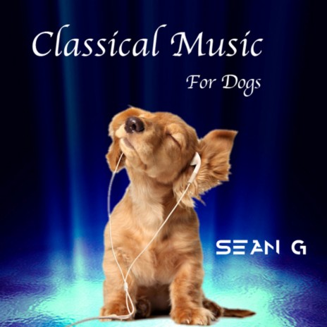 Prelude and Fugue No. 5 in D Major, BWV 850 | Boomplay Music