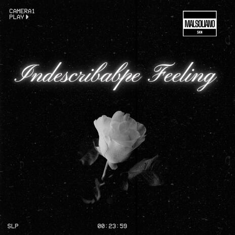 Indescribable Feeling ft. SKN | Boomplay Music