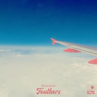 Feathers lyrics | Boomplay Music