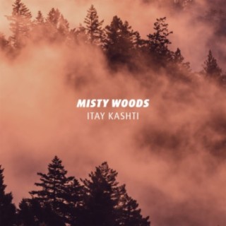 Misty Woods