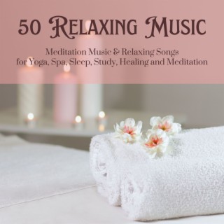 50 Relaxing Music: Meditation Music & Relaxing Songs for Yoga, Spa, Sleep, Study, Healing and Meditation