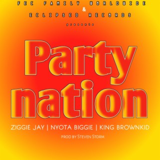 Partynation