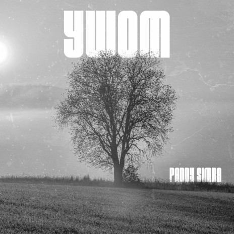 Ywom | Boomplay Music