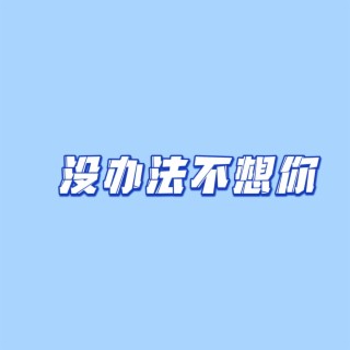 没办法不想你