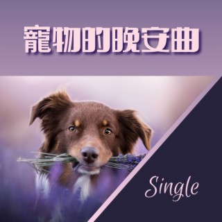 寵物的晚安曲: Single