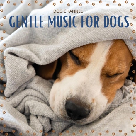 A Gentle Song for Dogs ft. Melodías Caninas | Boomplay Music