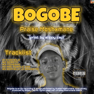 Bogobe