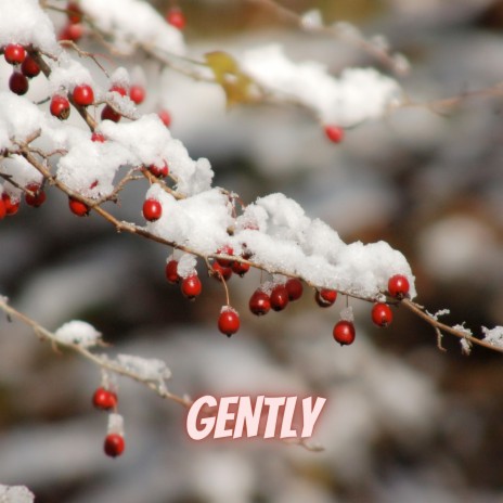 Gently | Boomplay Music
